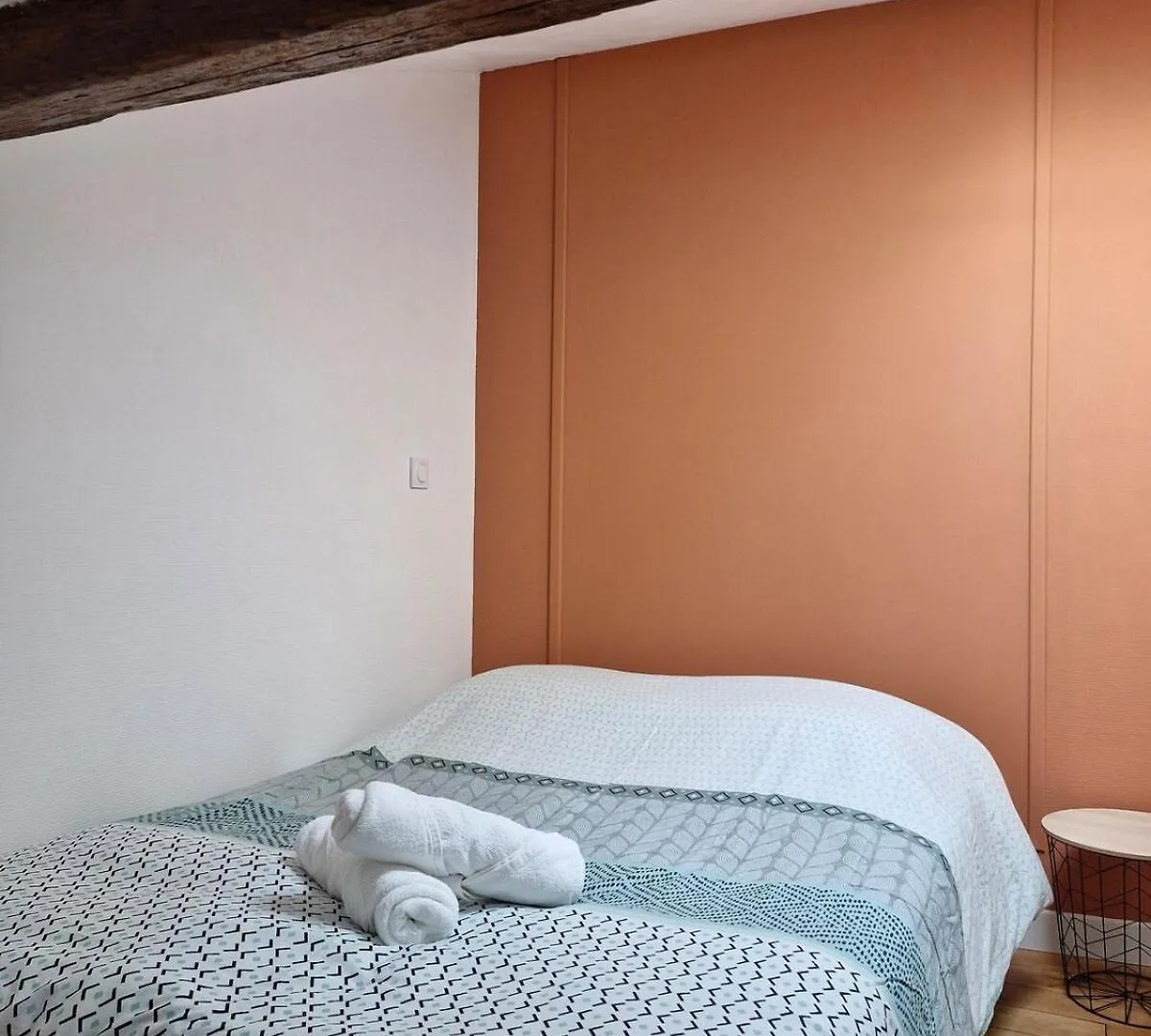 Hyper Center Apartment Montauban 0*,